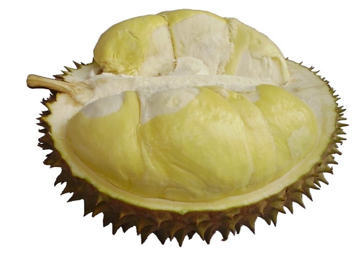 Buah Durian Montong